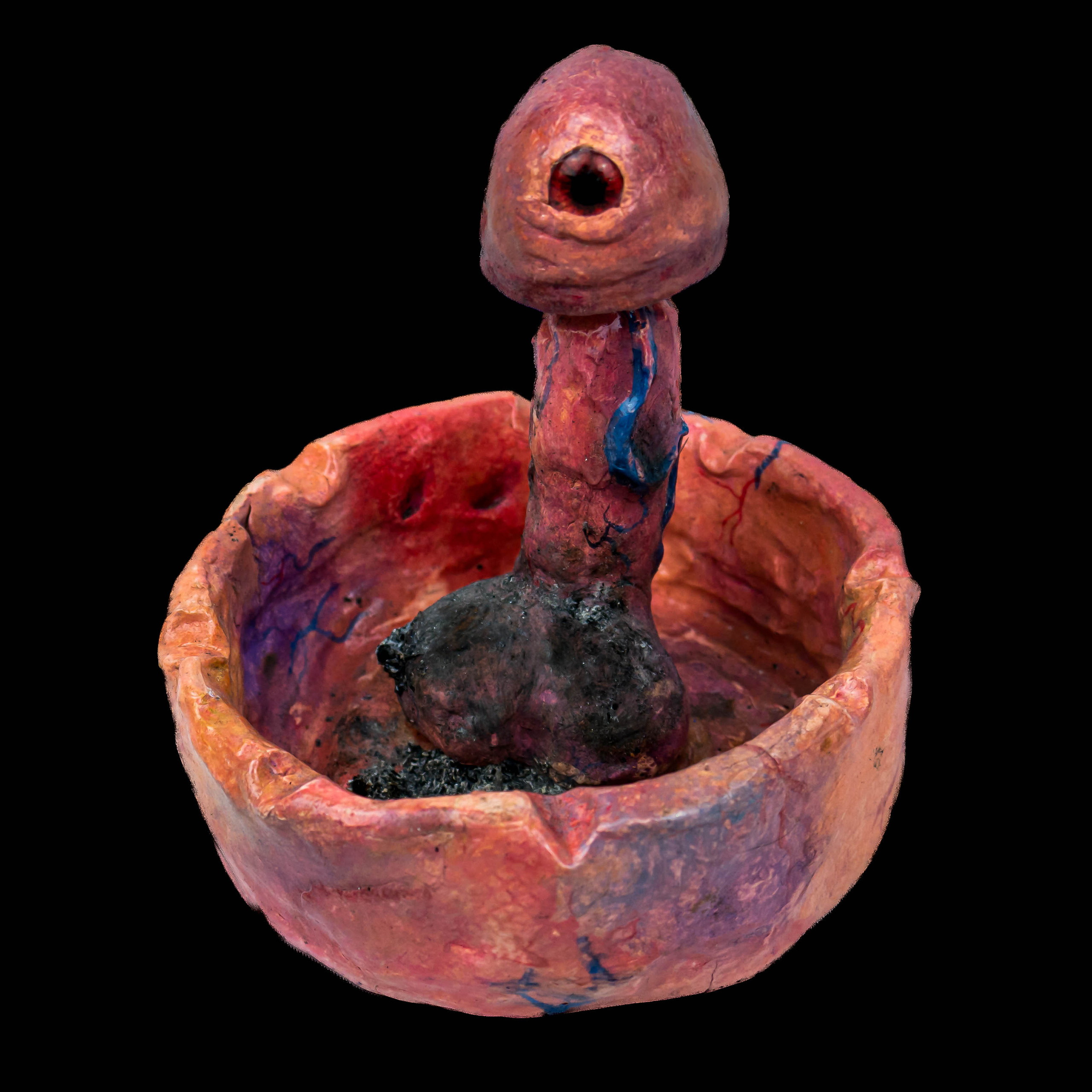 Astalovskaya Videographer