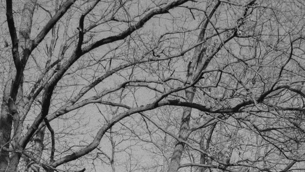 A project on the macrocosm of the human soul