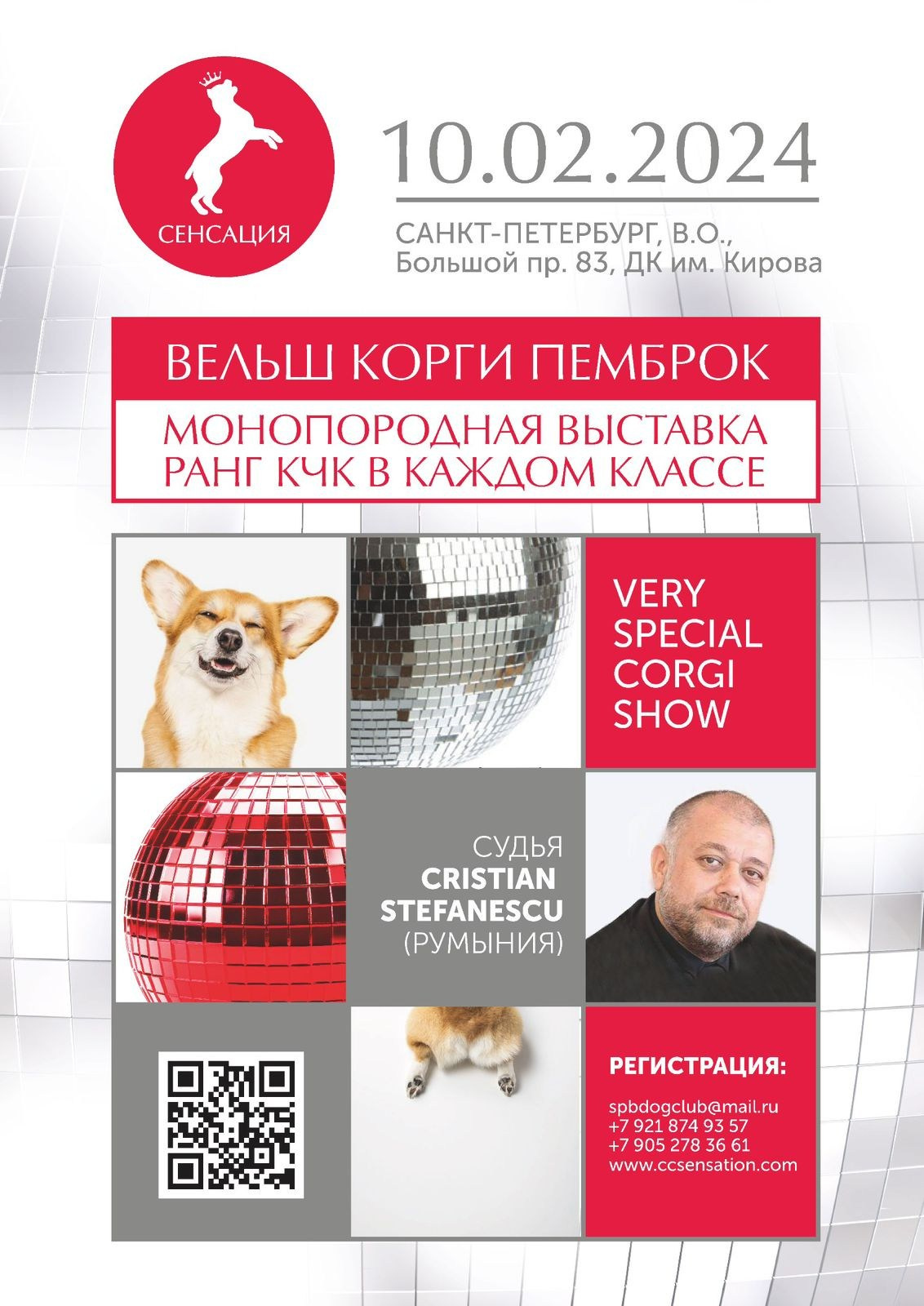 МОНО ВЕЛЬШ КОРГИ ПЕМБРОК 10.02.2024. Кинологический клуб РКФ РФСС СЕНСАЦИЯ