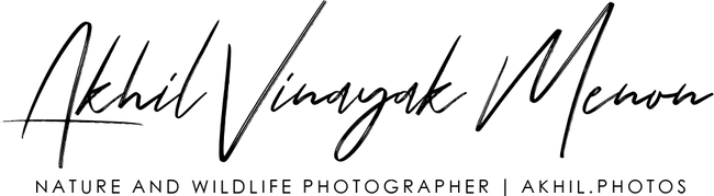 akhilvinayakmenon.com