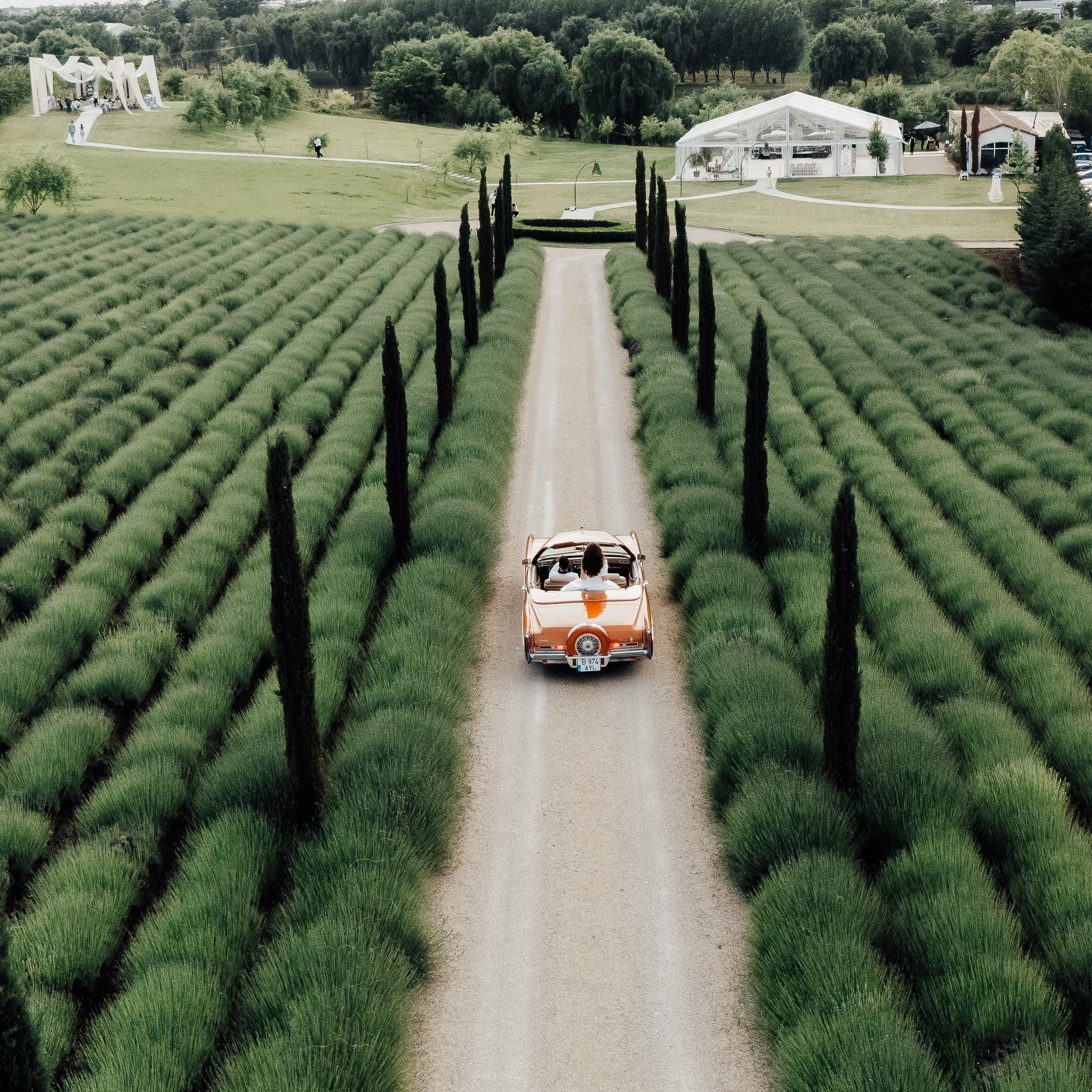 Despre noi fotograf profesionist de nunta Brasov