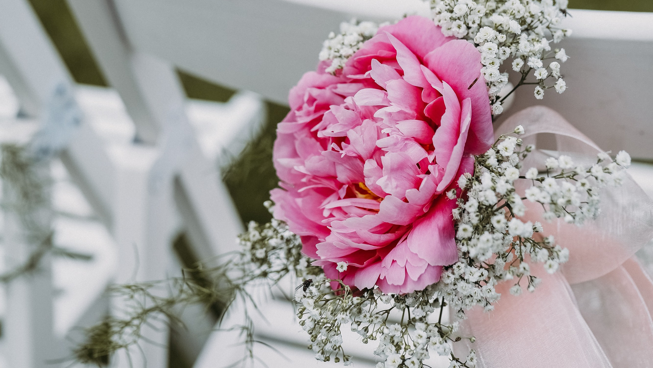 Kontakt mit mir in Ludwigshafen. Hochzeitsfotograf und Familienfotograf in Neustadt an der Weinstraße, Haßloch, Ludwigshafen, Speyer und Landau - Ekaterina Seoud