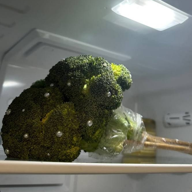 10 PRIMI PASSI DA FARE PRIMA DI PIANIFICARE IL TUO MATRIMONIO