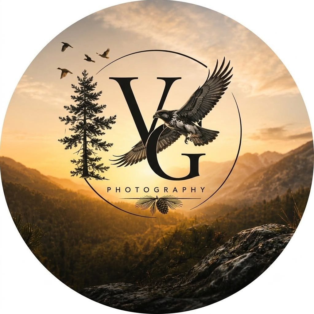 V.G. Wildlife Photography | Wildlife & Nature Photography in Georgia