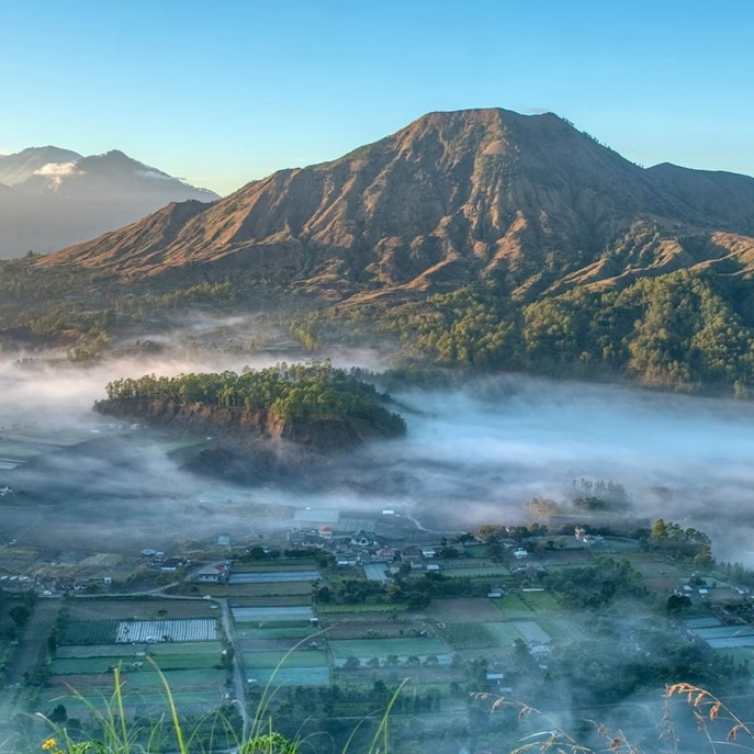 Программа ретрита