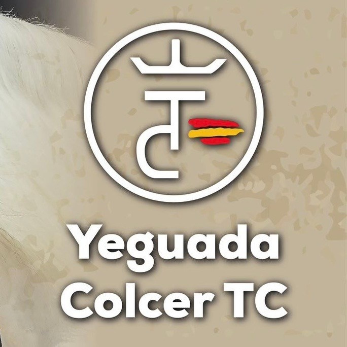 Стоимость фотосессии в студии и на улице. Fotógrafa en Madrid | Retratos femeninos, familia y sesiones con caballos – Anna Maruleva