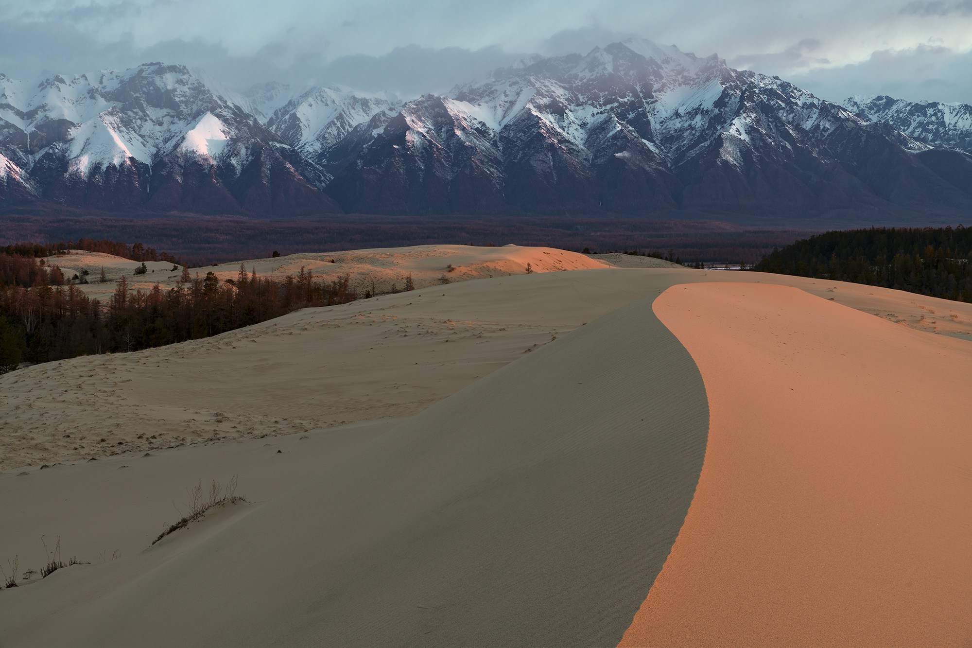 Новая чара чарские пески. Чарские пески озеро. Чарские пески забайкальский край. Чарские пески забайкальский край. Озеро аленка чарские пески.