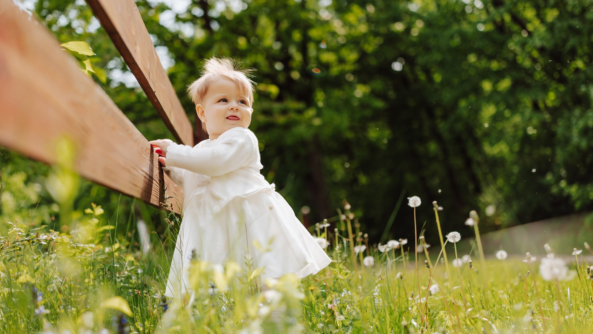 VIDEO. Φωτογράφος και βιντεογράφος γάμου