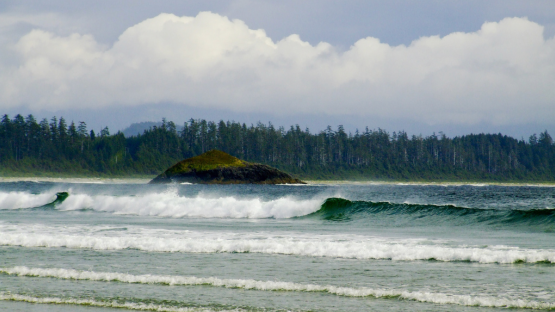 Best Wedding Photo Locations on Vancouver Island | Art Paradox Photography