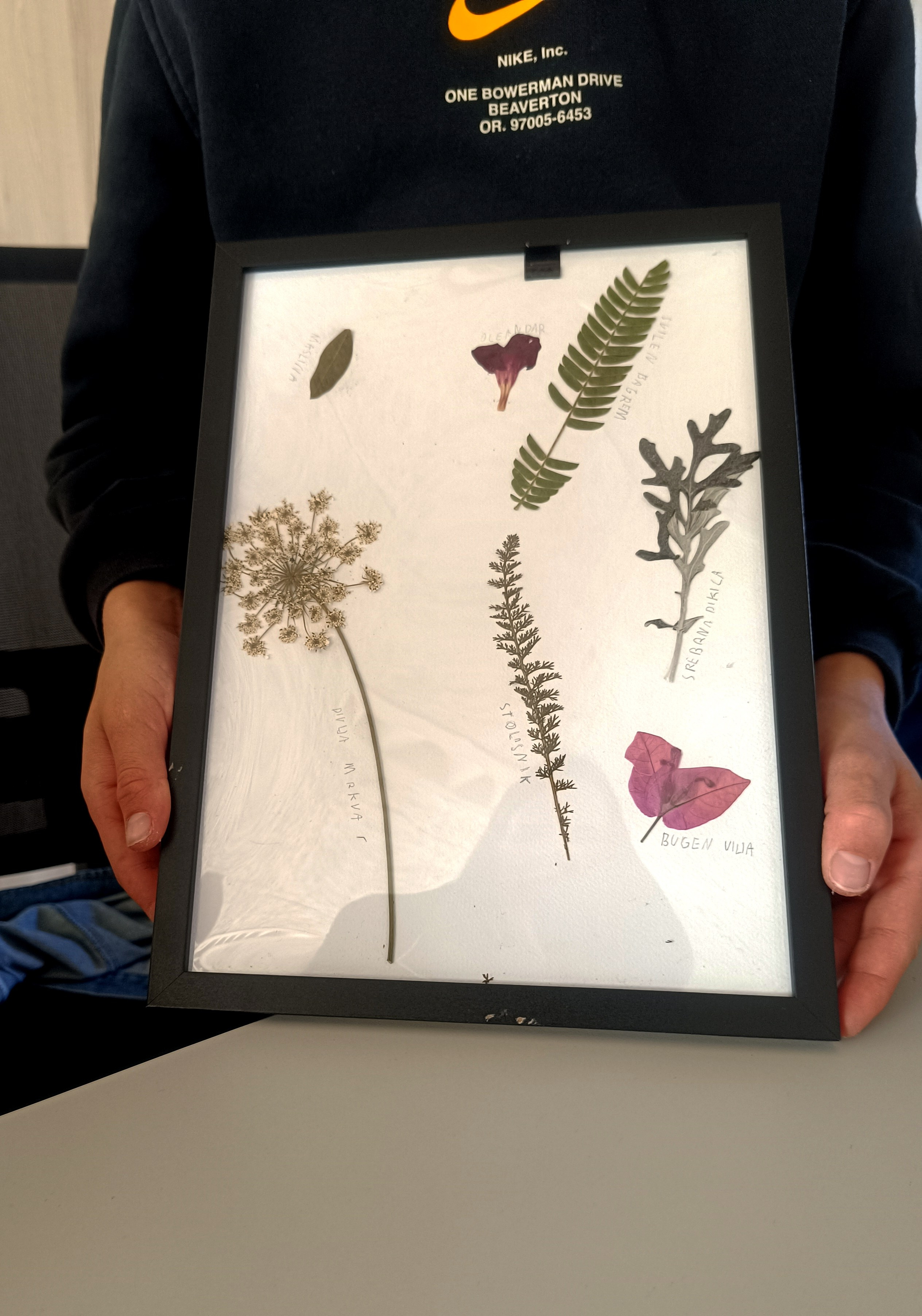 Suradnja Herbarij studija i Udruge Mala filozofija. Herbarij studio