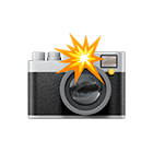 Mini Photography Sessions in Tampa Bay | Liliia Koval Photography