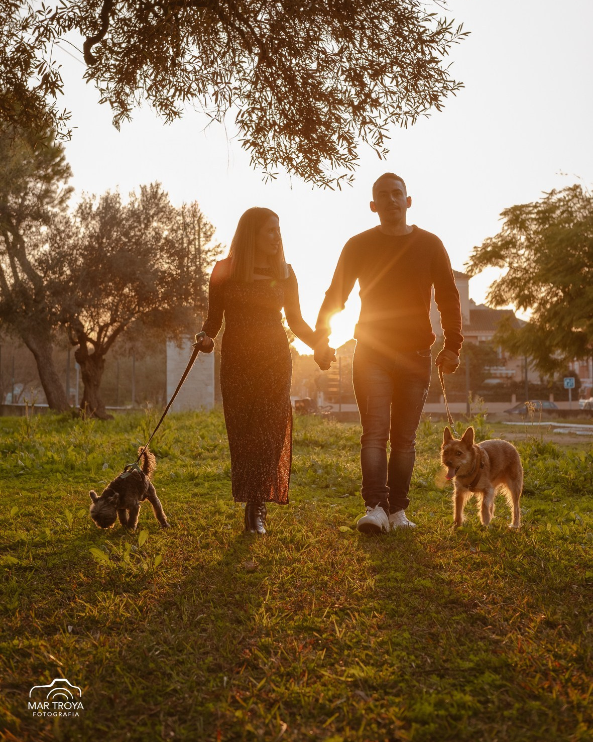 Fotografía de mascotas. Fotos con huella, fotografía de perros y mascotas en Sevilla