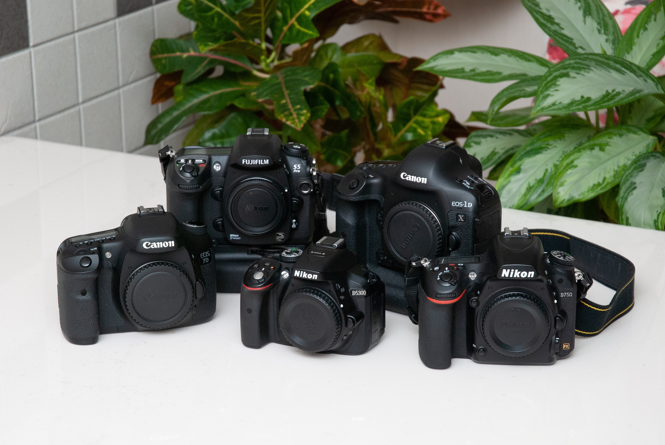 Техника на которую мы снимаем. Ваш фотограф в Ашхабаде Гамлет Осипов