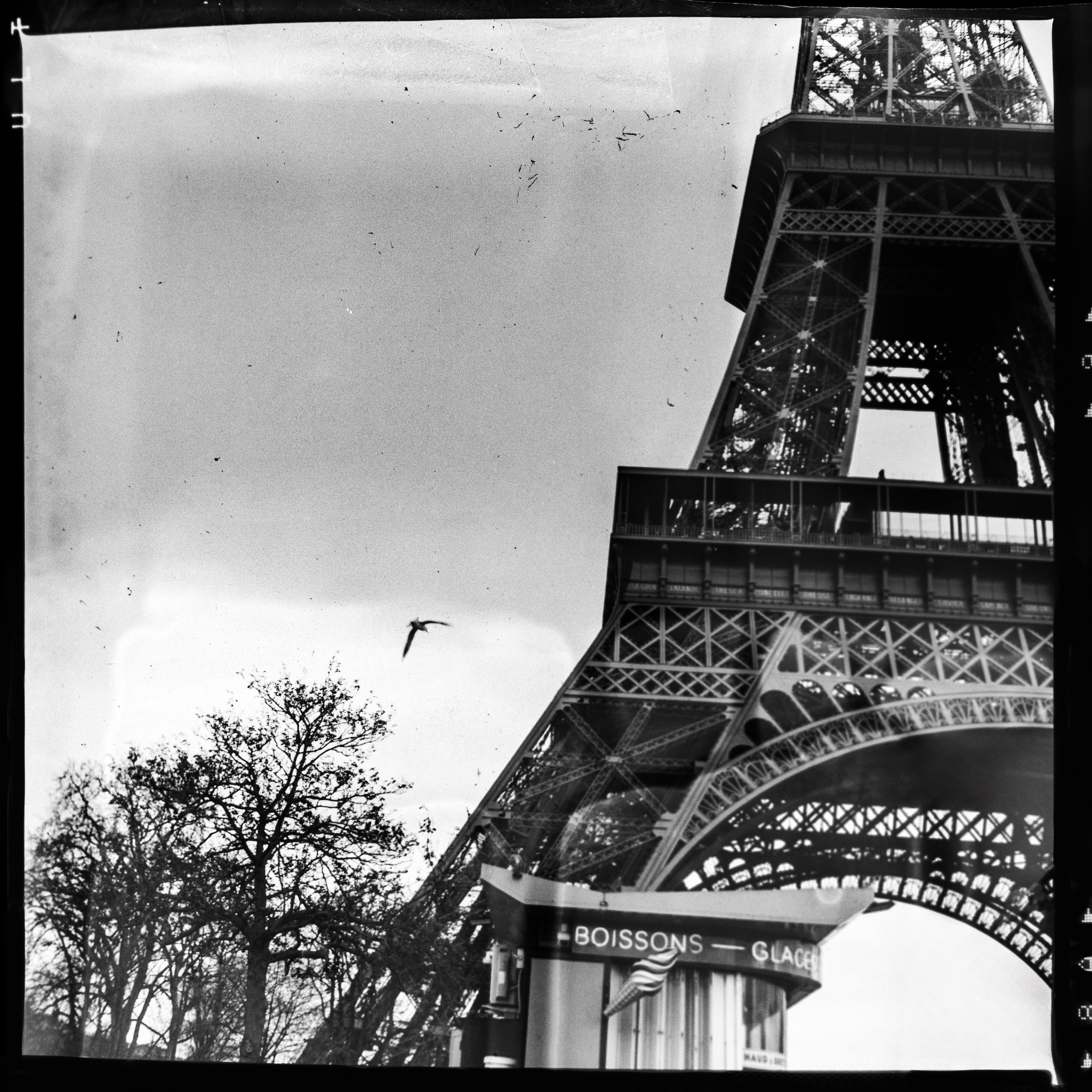 Fine Art. W LAB 192 | Davide Vichi