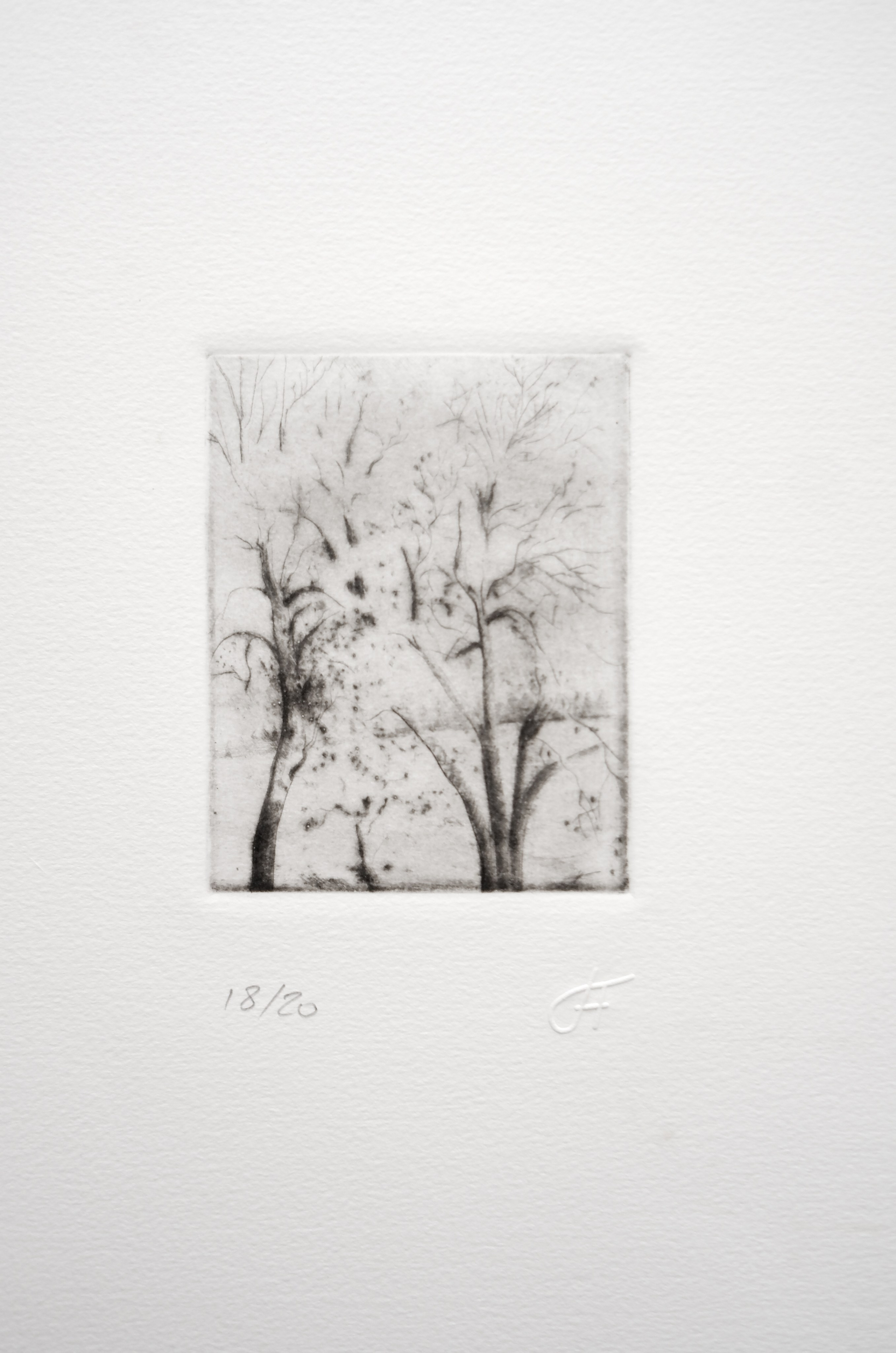 Juan A. Framis De Mena 1900-1962 A limited edition lithograph