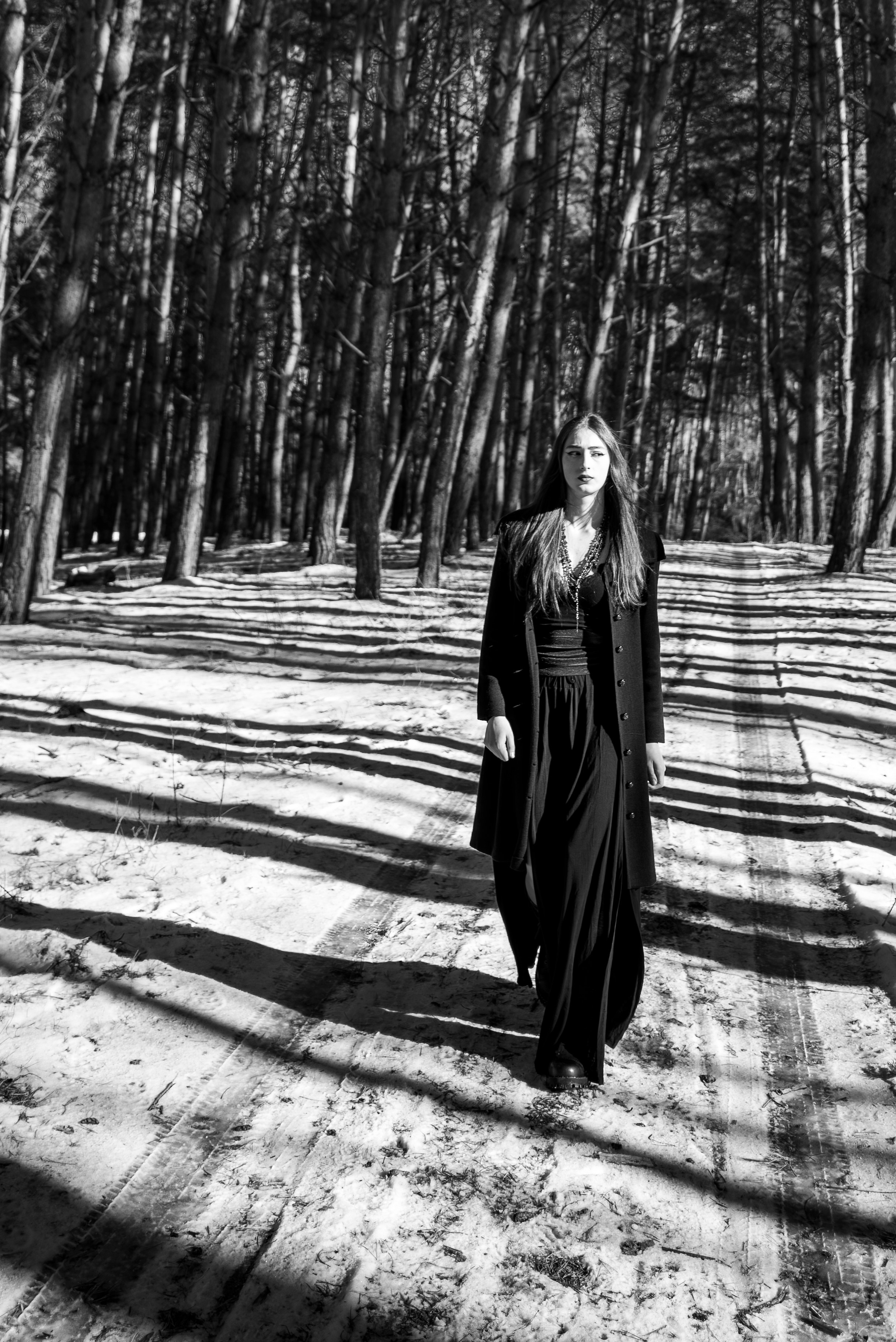 Prizonieră la castel. Daniel Hașiegan