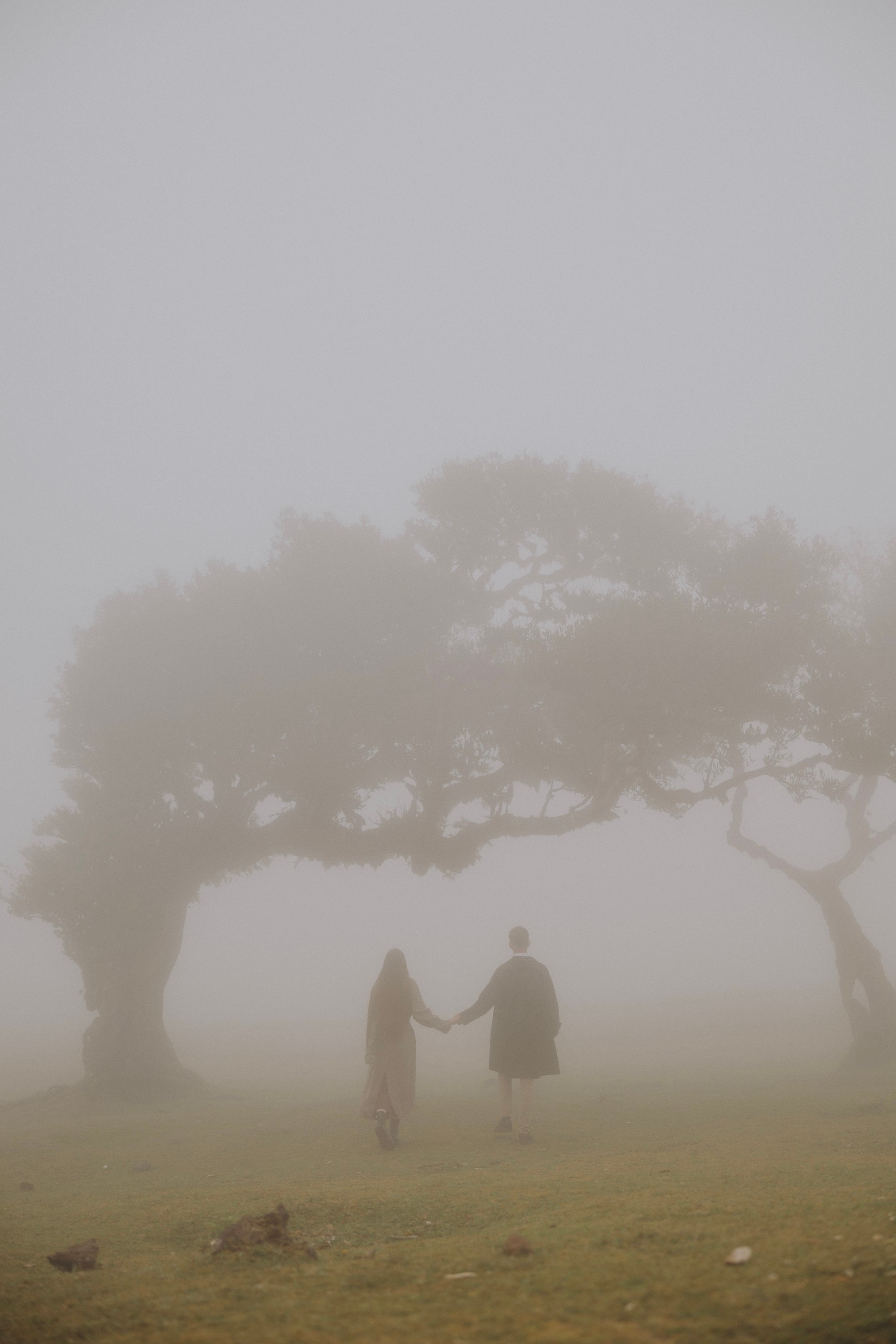 Elopement photoshoot in Madeira Fanal Forest
