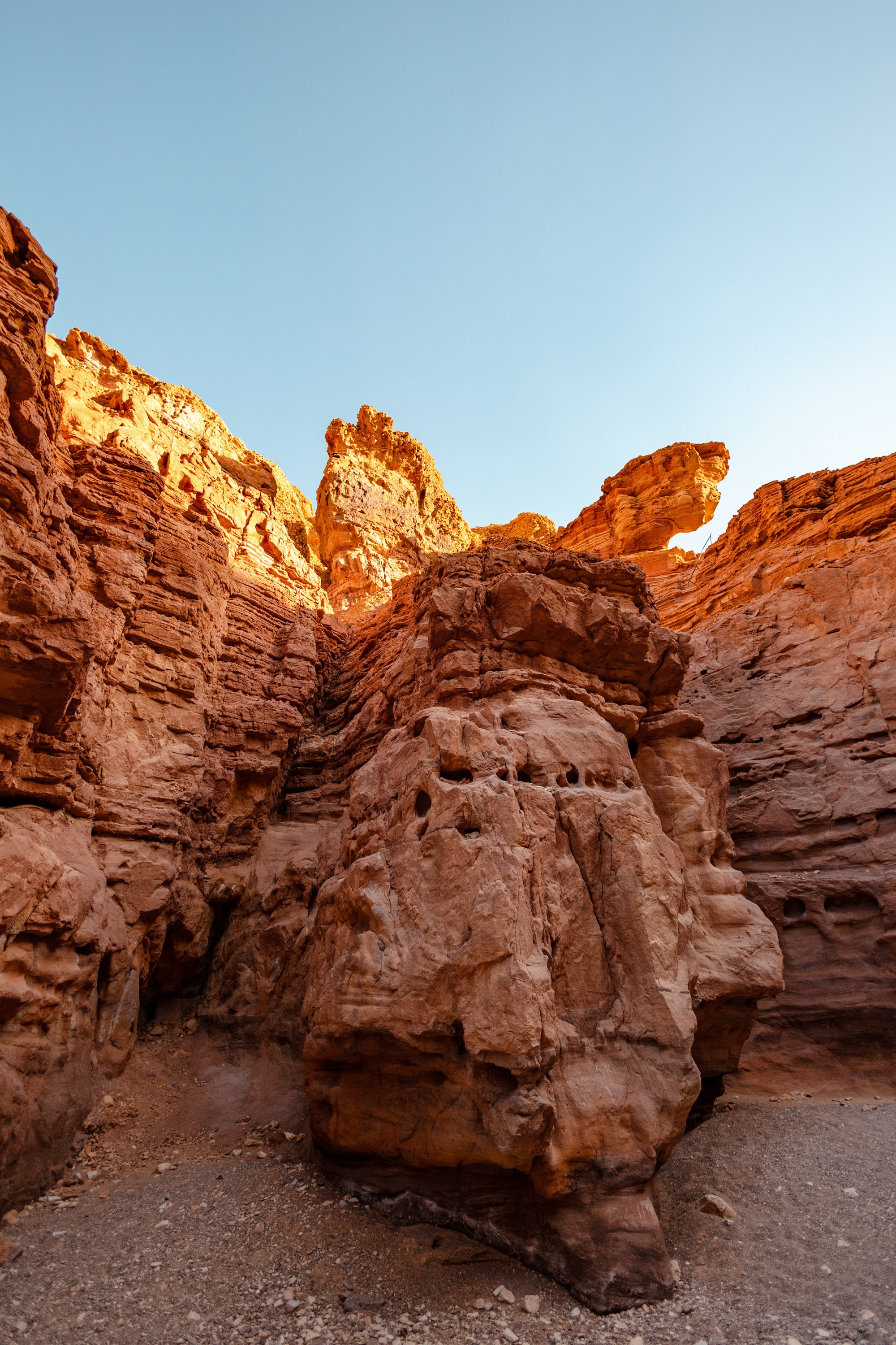 WORLD PHOTO. International Photographer