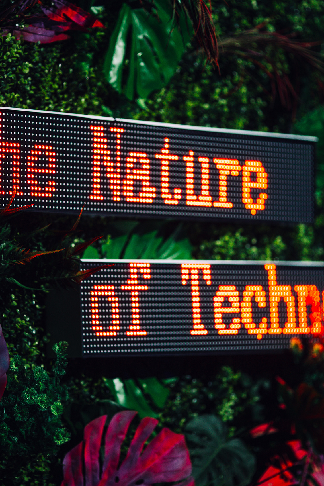 Corporate events. Wedding, portrait & event photographer in Riga, Latvia