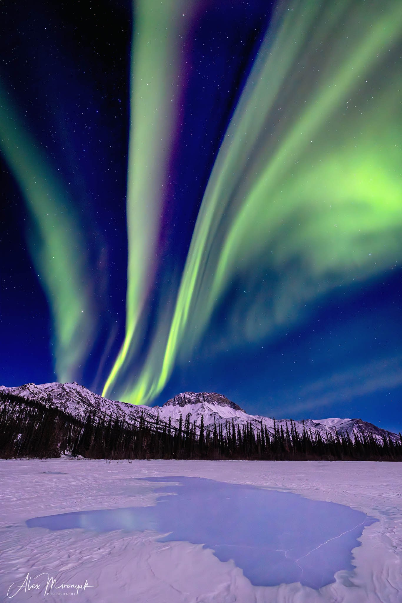 Chasing the Aurora Borealis. Pet, Senior, Landscape, portrait studio, photographer in Miami and Sou