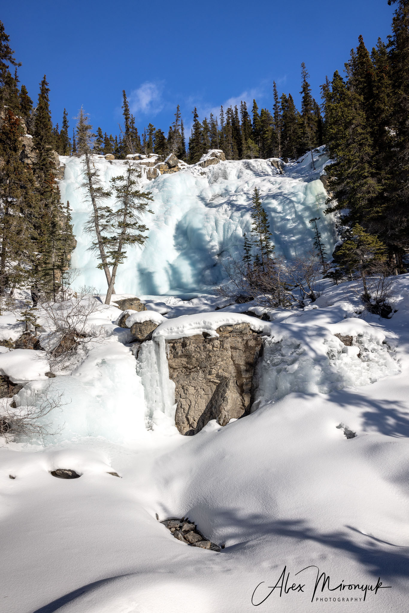 Photographing Winter Wonderland — Canada. Pet, Senior, Landscape, portrait studio, photographer in Miami and Sou