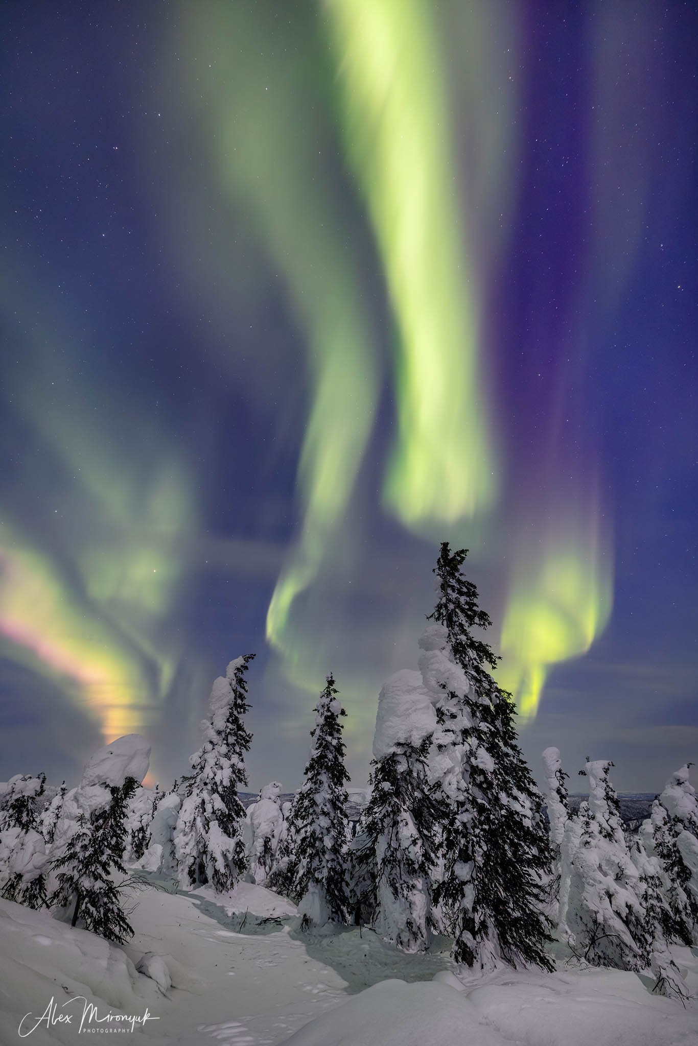 Chasing the Aurora Borealis. Pet, Senior, Landscape, portrait studio, photographer in Miami and Sou