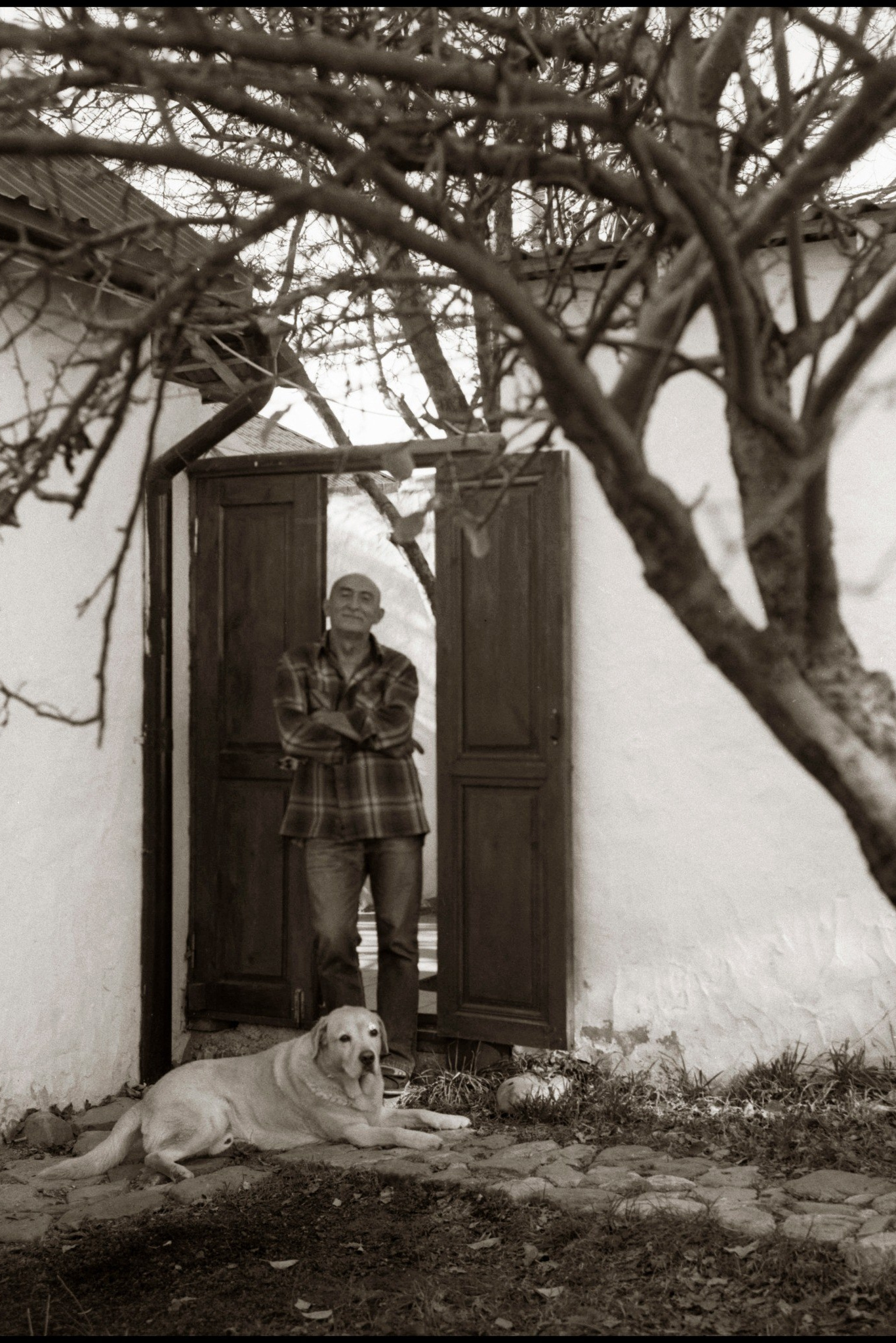 YER GALLERY. Www.sananaleskerov.com