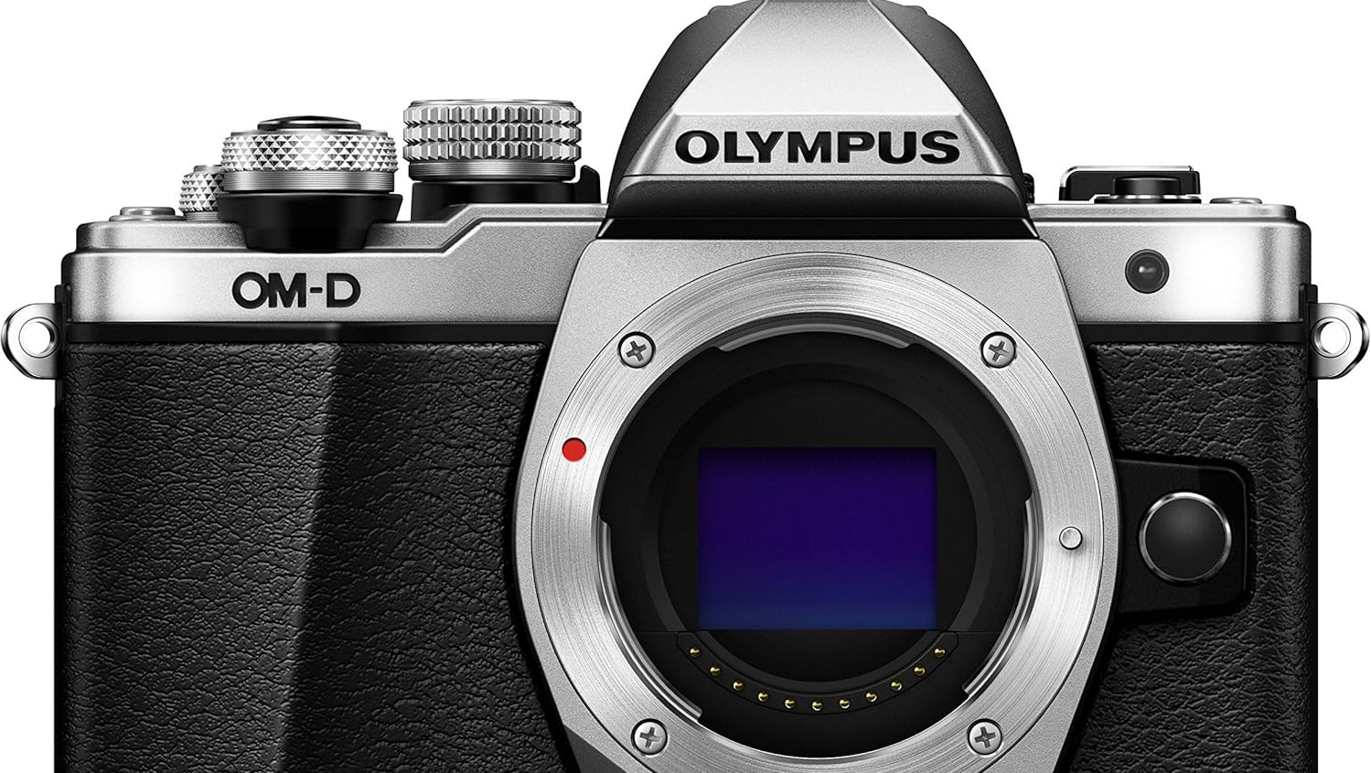 Gear. Fotograf Poznan