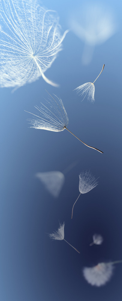 05 - природа и пейзажи