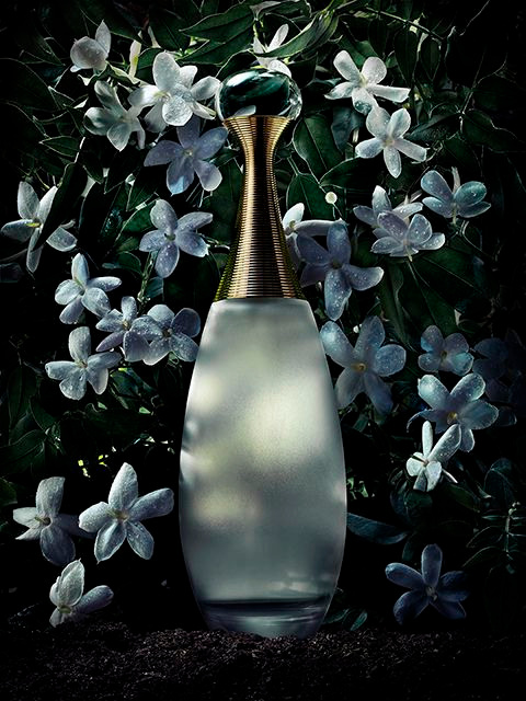 Peter Pushkin Photographer