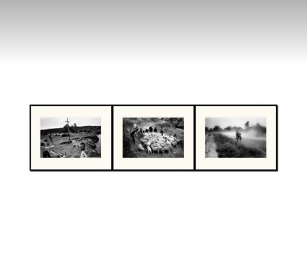 Сергей Трапезин