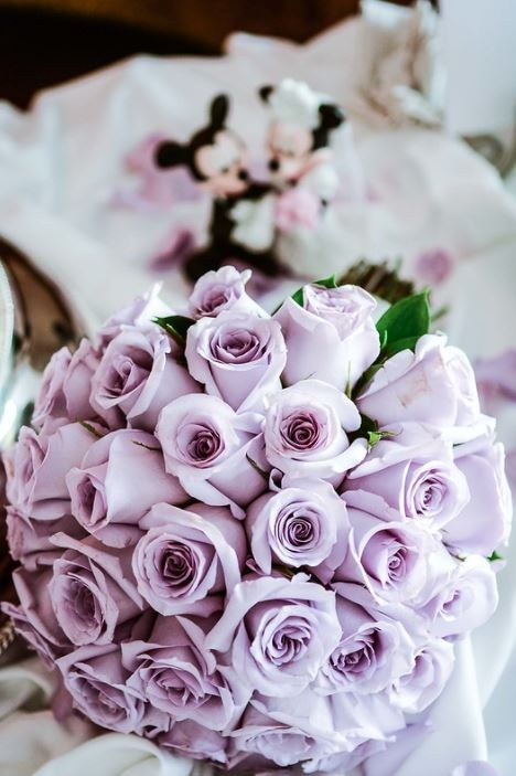 Venčanja. Fotograf Novi Sad Maja Vukelic Pavkov