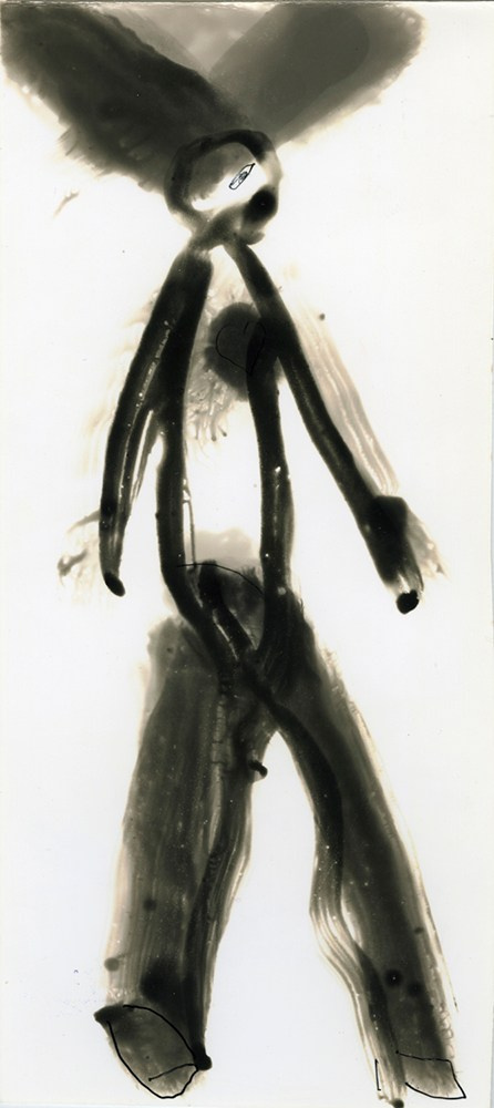 GRAPHICS. Www.sananaleskerov.com