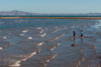 Artist Collection. Los Cabos Wedding Photographer – Izrael Reyna