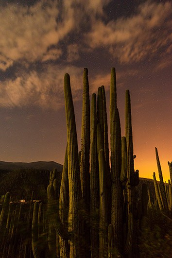 Artist Collection. Los Cabos Wedding Photographer – Izrael Reyna