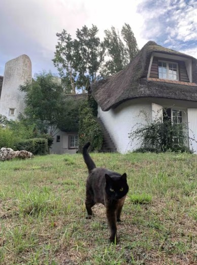 Location d’espace pour événements. Studio photo « Partage ton bonheur » – Photographe famille près de Châtellerault, Poitiers et Tours
