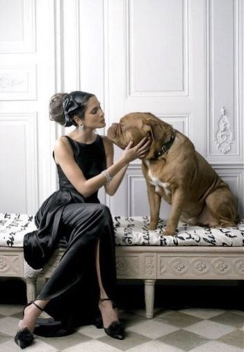 СЪЁМКА СЕБЯ_НОВЫЙ МОСТ, СИТЕ и СЕН-ЛУИ