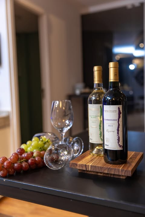 Fotografia de produtos vinhos e bebidas. Fotógrafa em são paulo — Fotos Autênticas