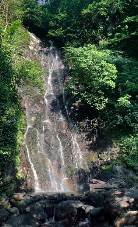 DADI Village. Главная