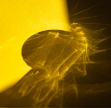 Портфолио. Оксана Жила, Фотограф, визуальный артист, Финляндия