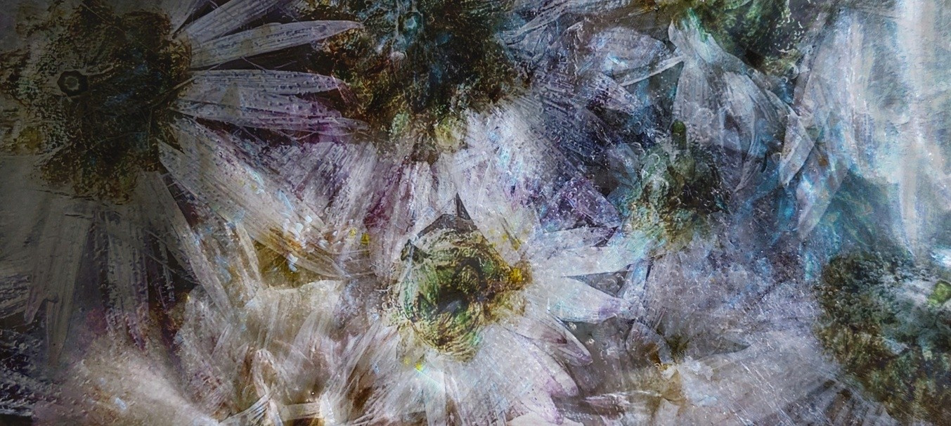 Limited Edition. Photographer artist Liashenko Oksana