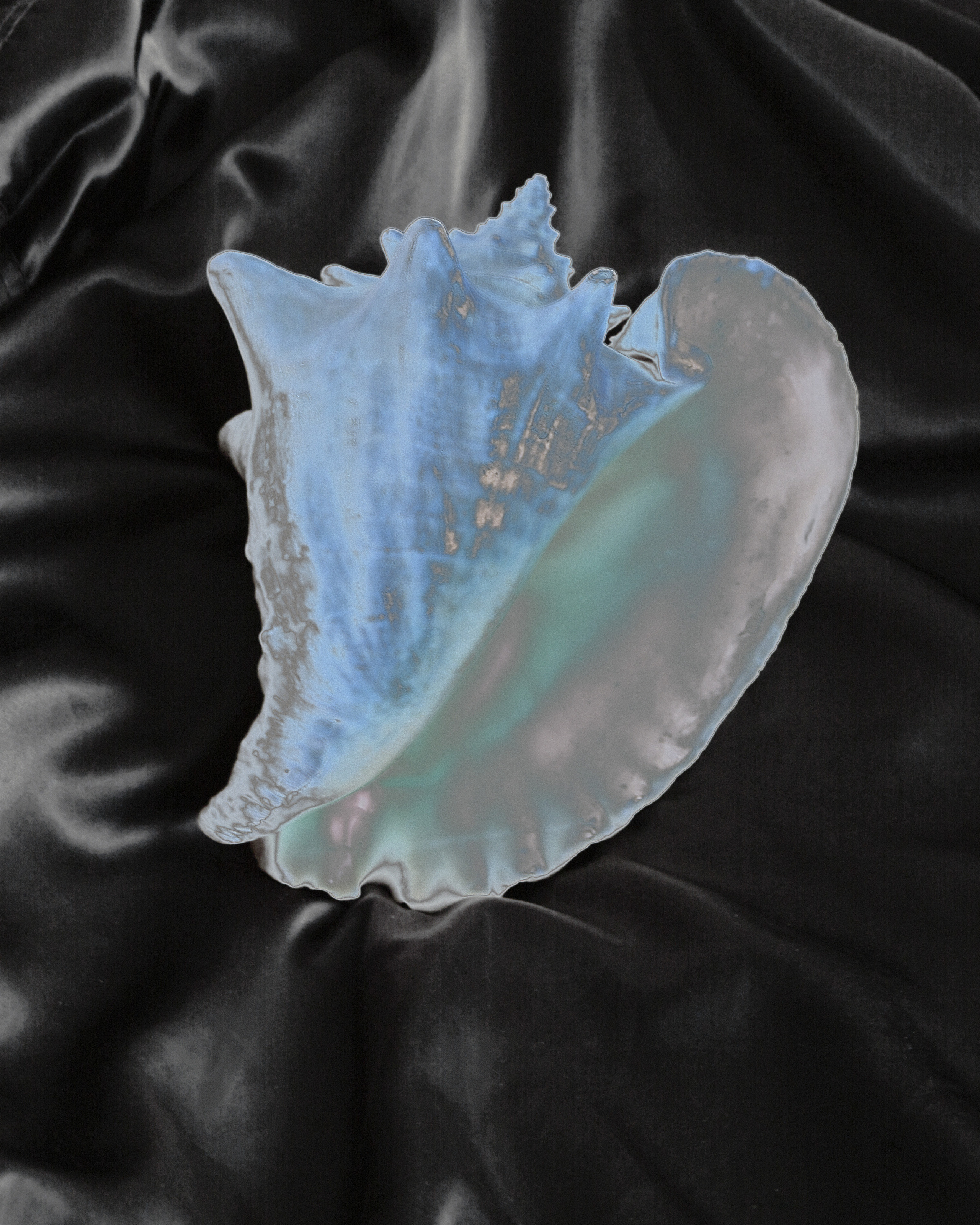 Highlights. Eugenia Ignatova multidisciplinary artist, photographer in Belgrade