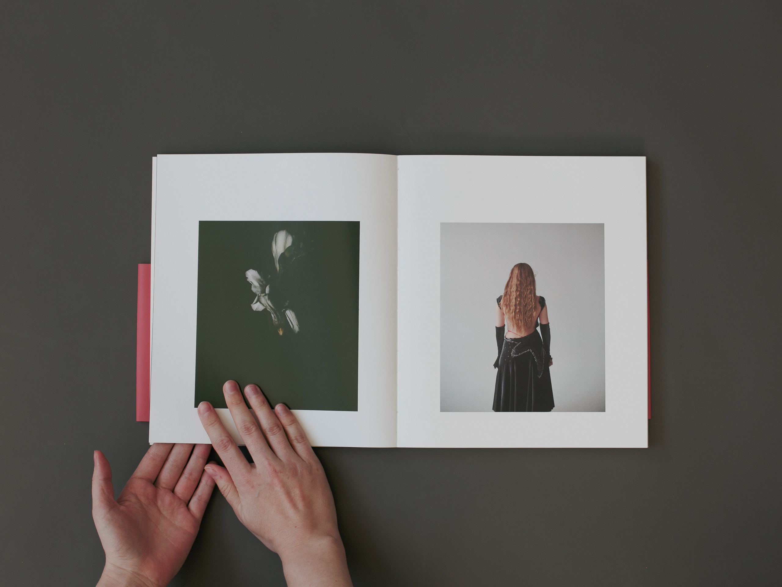 Highlights by Eugenia Ignatova