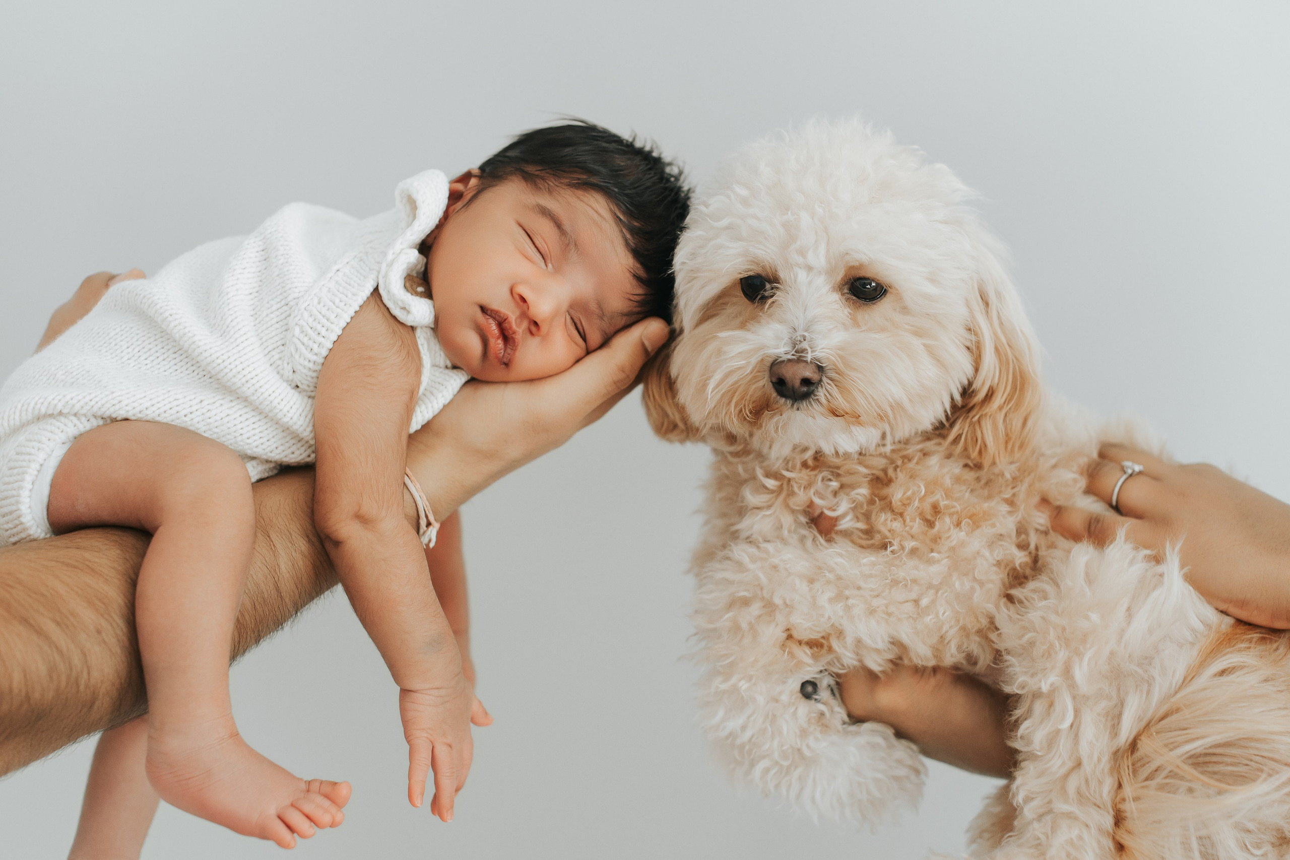 Newborn photo session in Boston