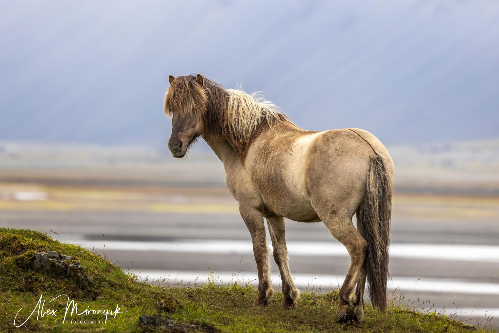Unforgettable Iceland. Alex Mironyuk Photography