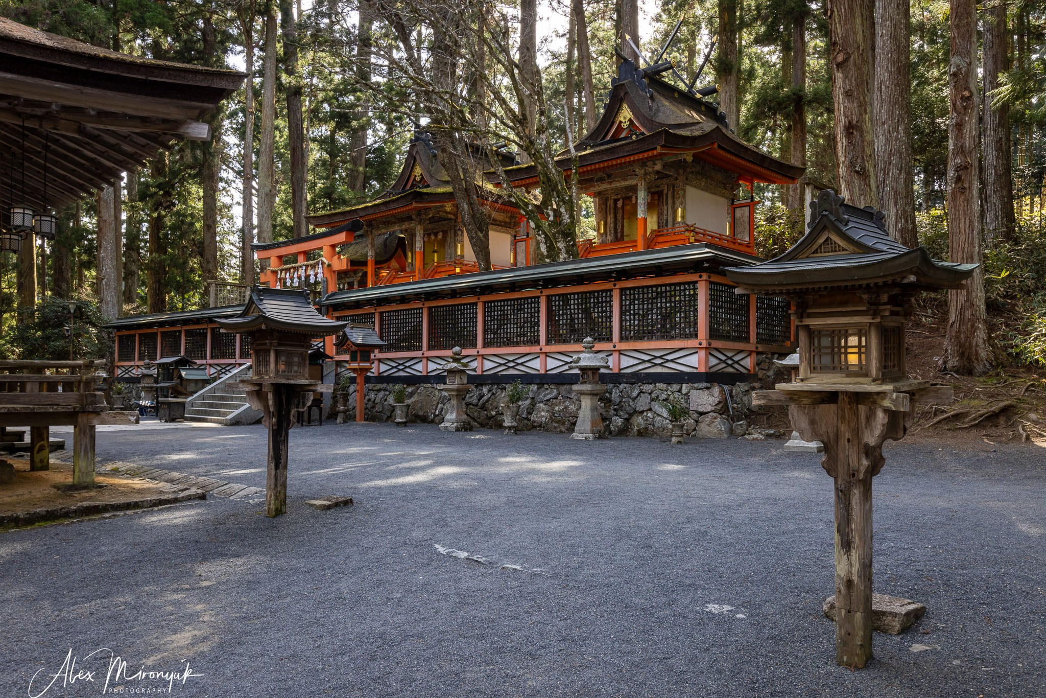 Autumn Colors of Japan. Pet, Senior, Landscape, portrait studio, photographer in Miami and Sou