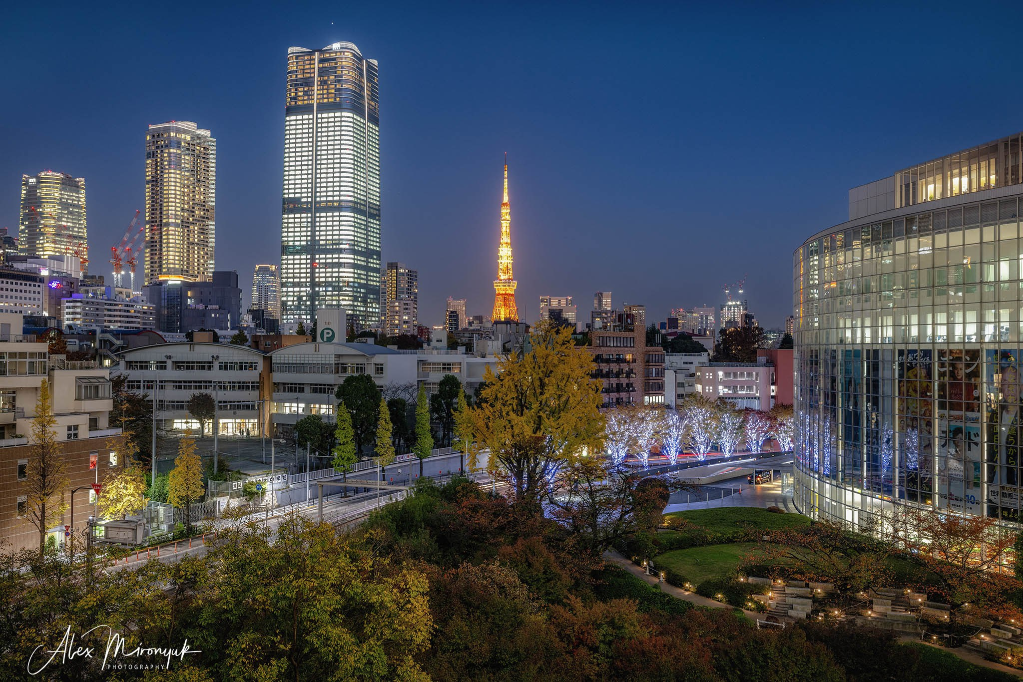 Autumn Colors of Japan. Pet, Senior, Landscape, portrait studio, photographer in Miami and Sou