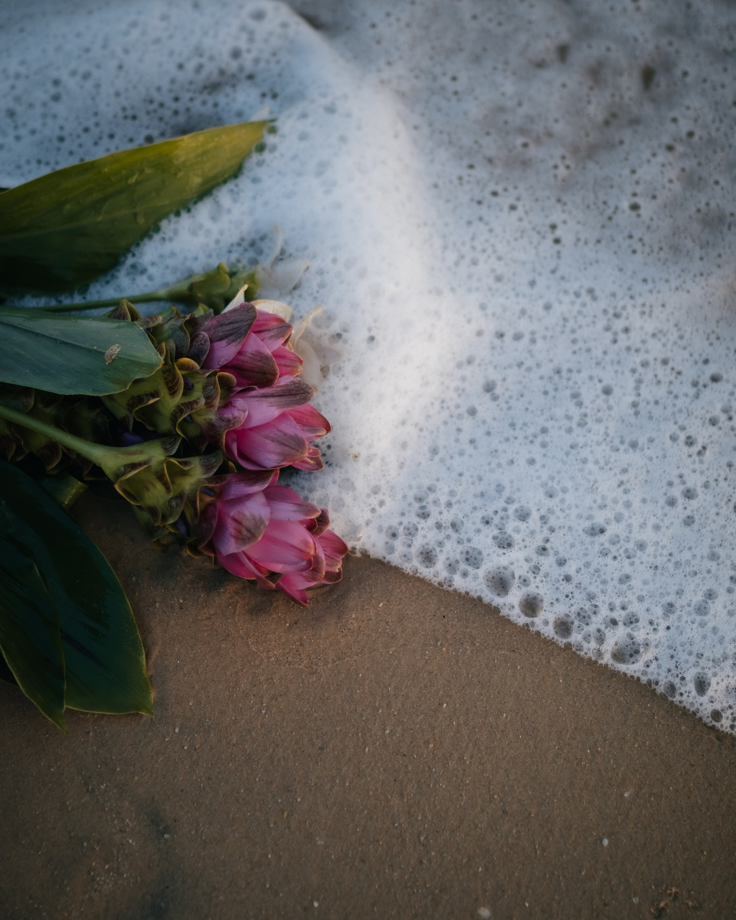 Услуги. Документальный фотограф в Израиле Кристина Зингер