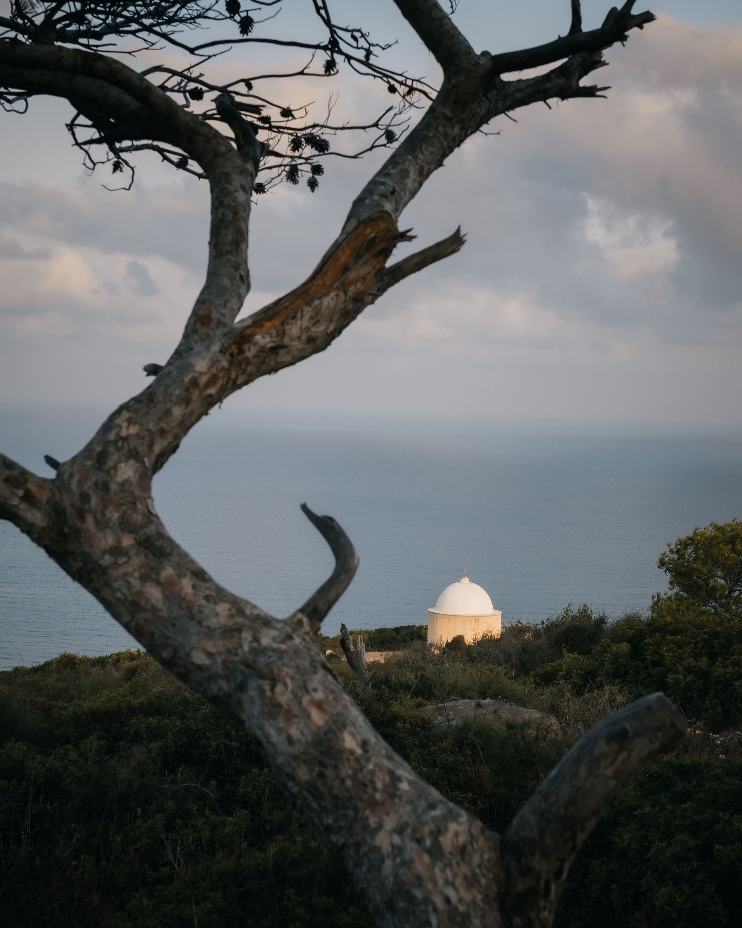 Услуги. Документальный фотограф в Израиле Кристина Зингер