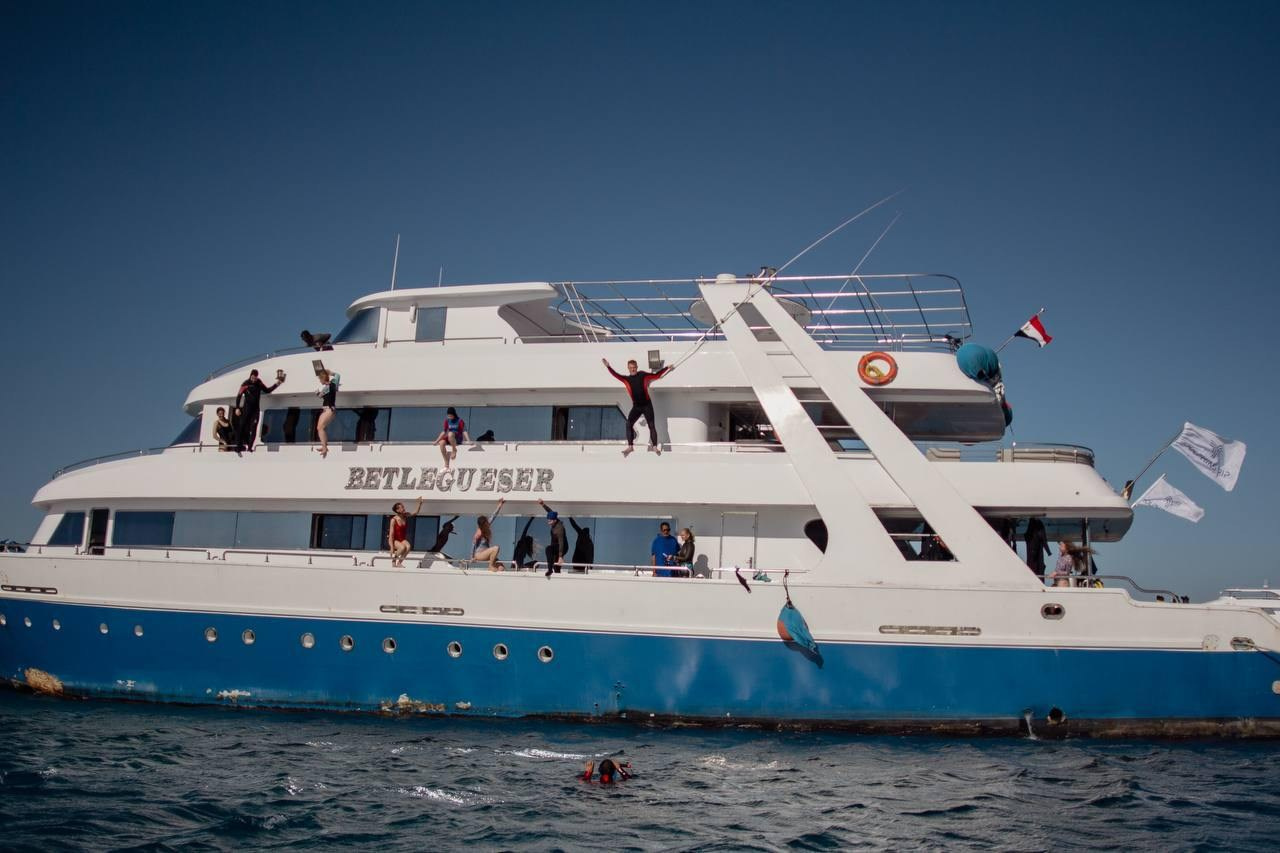 NEW Путешествие к дельфинам, октябрь 2026. Семейные лагеря в Европе с Ниной Янечковой и Ириной Зиновьевой